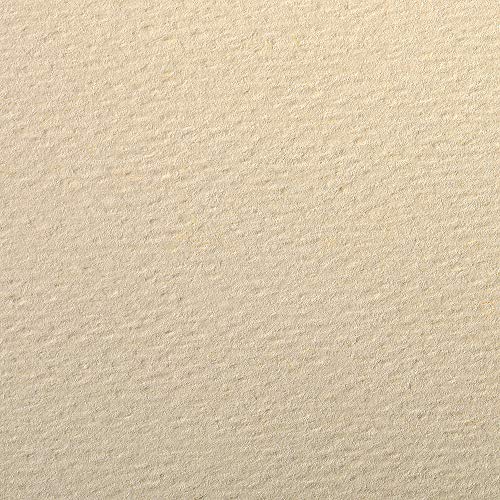 Clairefontaine 93882C Packung (mit 25 Bögen Zeichenpapier Etival Color, DIN A4, 21 x 29,7 160g, gekörnt, ideal für Trockentechnik und Einrahmen) elfenbein von Clairefontaine