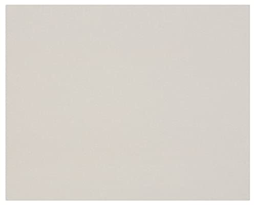 Clairefontaine 93977C Packung (mit 10 Bögen Pappe, 80 x 120 cm, 1 mm, 600 g, ideal für Modellbau, leicht und glatt, 100% recycelt) 10er Pack grau von Clairefontaine