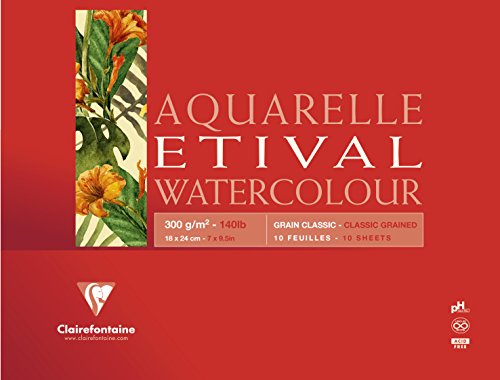 Clairefontaine 96389C Aquarellblock Etival (matt, 300g, für alle Nasstechniken geeignet, 1-seitig verleimt, 10 Blatt, DIN A5, 14,8 x 21 cm, ideal für Anfänger, säurefrei) weiß von Clairefontaine