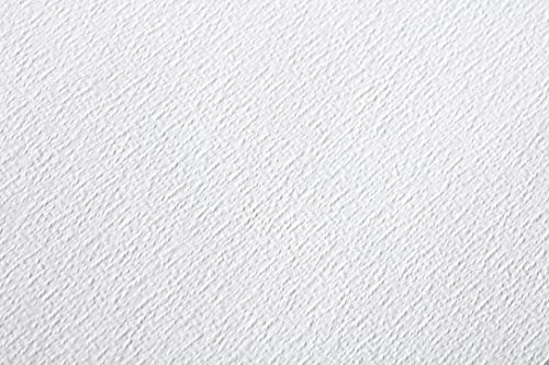 Clairefontaine 96403C Packung (mit 25 Bögen Aquarellpapier Etival, matt, 300g, für alle Nasstechniken geeignet, 56 x 76 cm, ideal für Anfänger, säurefrei) weiß von Clairefontaine