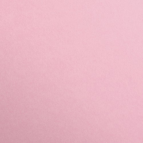 Clairefontaine 97165C Tonzeichenpapier Pack, 25 Bögen Premium, 50 x 70 cm, 120 g, hellrosa von Clairefontaine
