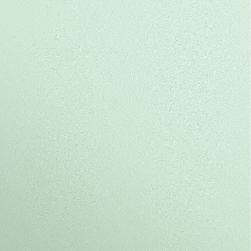 Clairefontaine 97168C Tonzeichenpapier Pack, 25 Bögen Premium, 50 x 70 cm, 120 g, minze von Clairefontaine