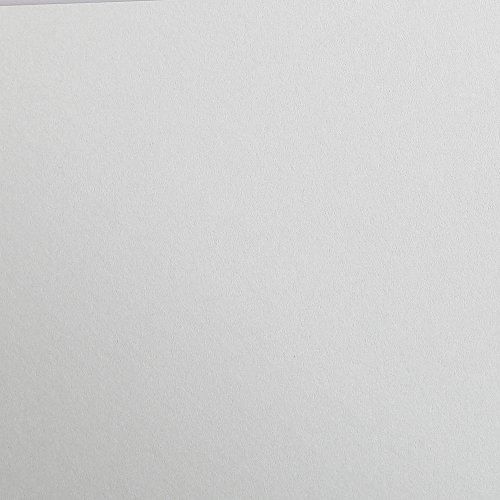 Clairefontaine 97172C Tonzeichenpapier Pack, 25 Bögen Premium, 50 x 70 cm, 120 g, hellgrau von Clairefontaine