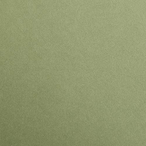 Clairefontaine 97270C Packung (mit 25 Bögen Zeichenpapier Maya, 50 x 70 cm,270g, glatt, ideal für Trockentechnik und Einrahmen) laubgrün von Clairefontaine