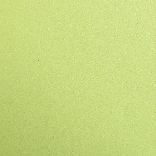 Clairefontaine 97352C Packung (mit 25 Bögen Zeichenpapier Maya, DIN A4, 21 x 29,7 cm, 120g, glatt, ideal für Trockentechnik und Einrahmen) lindgrün von Clairefontaine