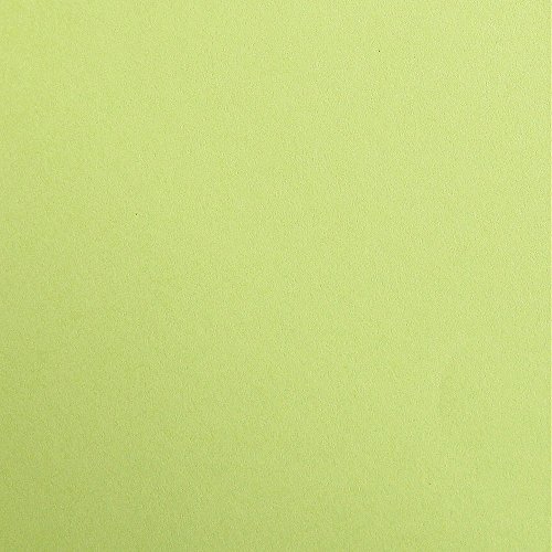 Clairefontaine 97352C Packung (mit 25 Bögen Zeichenpapier Maya, DIN A4, 21 x 29,7 cm, 120g, glatt, ideal für Trockentechnik und Einrahmen) lindgrün von Clairefontaine