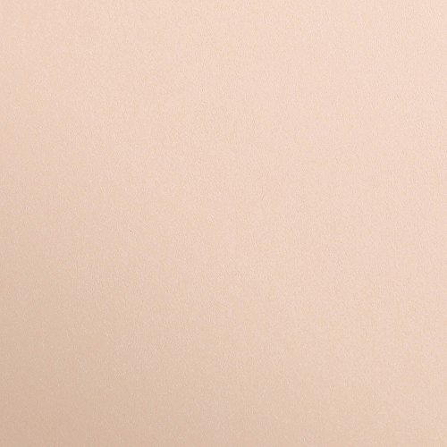 Clairefontaine 97364C Packung (mit 25 Bögen Zeichenpapier Maya, DIN A4, 21 x 29,7 cm, 120g, glatt, ideal für Trockentechnik und Einrahmen) aprikose von Clairefontaine