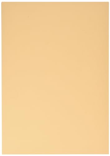Clairefontaine 97464C Fotokarton Pack, 25 Bögen Premium, Din A4, 21 x 29.7 cm, 300 g, aprikose Clairefontaine 97464C Fotokarton Pack, 25 Bögen Premium, Din A4, 21 x 29.7 cm, 300 g, aprikose von Clairefontaine