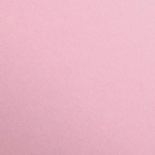 Clairefontaine 97465C Fotokarton Pack, 25 Bögen Premium, Din A4, 21 x 29.7 cm, 300 g, hellrosa von Clairefontaine