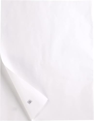 Clairefontaine 975091C Ries Transparentpapier (DIN A3, 29,7 x 42 cm, 50 Blatt, 90 g, ideal für technische Zeichnen) transparent von Clairefontaine