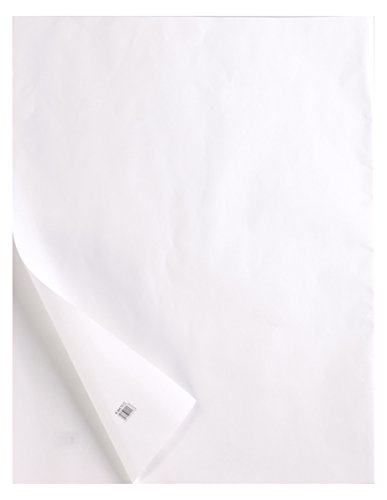 Clairefontaine 975122C Rolle Transparentpapier, 140 g, 0,375 x 20m, ideal für technische Zeichnen, 1 Rolle von Clairefontaine