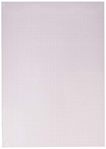 Clairefontaine 975186C Packung mit 20 Bögen Bristol, DIN A3, 29, 7 x 42cm, 205g, kariert, Ideal für Modellentwürfe, 1 Pack, Weiß Clairefontaine 975186C Packung mit 20 Bögen Bristol, DIN A3, 29, 7 x 42cm, 205g, kariert, Ideal für Modellentwürfe, 1 Pack, Weiß von Clairefontaine