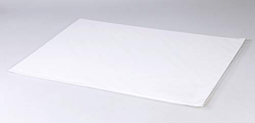 Clairefontaine 975193C Zeichenblock Lavis (10 Blatt, 200g, 42 x 59, 4cm, ideal für Nasstechnik und Lavierung, geleimt) weiß von Clairefontaine