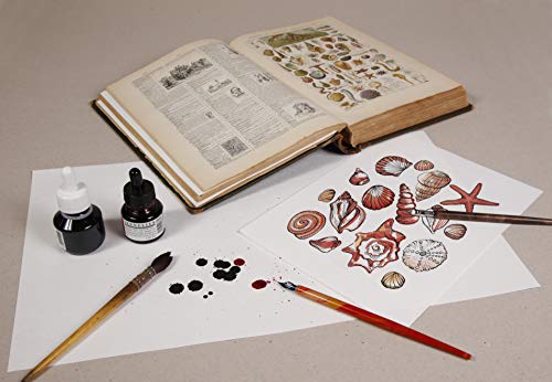 Clairefontaine 975401C - Ries mit 50 Blatt Löschpapier, 29,7x42 cm 250g, 1 Ries, weiß Clairefontaine 975401C - Ries mit 50 Blatt Löschpapier, 29,7x42 cm 250g, 1 Ries, weiß von Clairefontaine