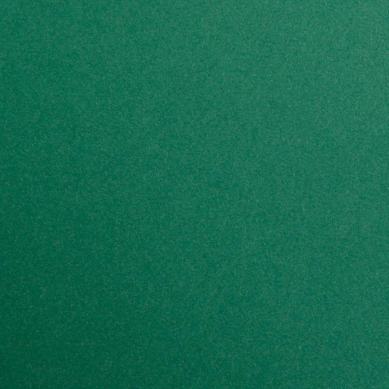 Clairefontaine Fotokarton 50x70cm Antikgrün von Clairefontaine