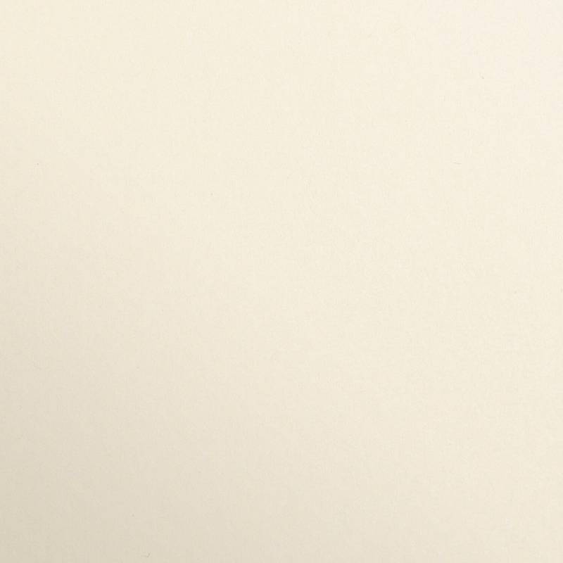 Clairefontaine Fotokarton 50x70cm Chamois von Clairefontaine