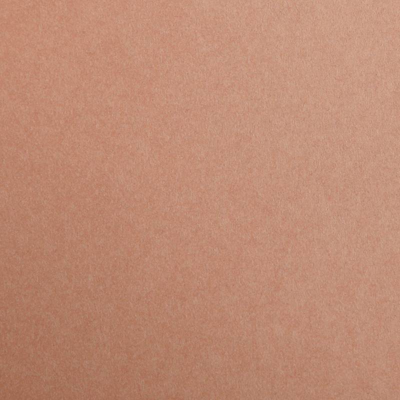 Clairefontaine Fotokarton 50x70cm Hellbraun von Clairefontaine