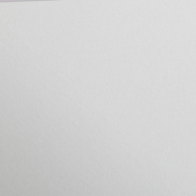 Clairefontaine Fotokarton 50x70cm Hellgrau von Clairefontaine