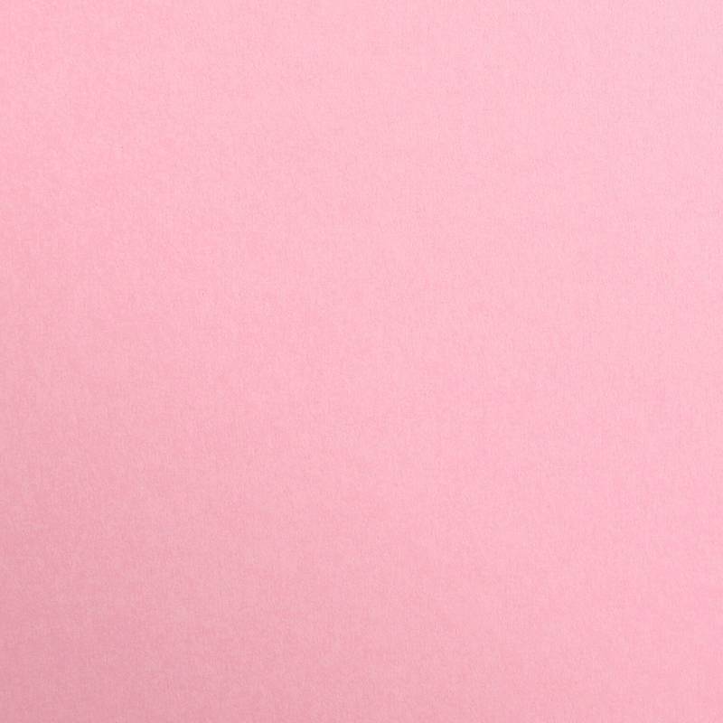 Clairefontaine Fotokarton 50x70cm Hellrosa von Clairefontaine