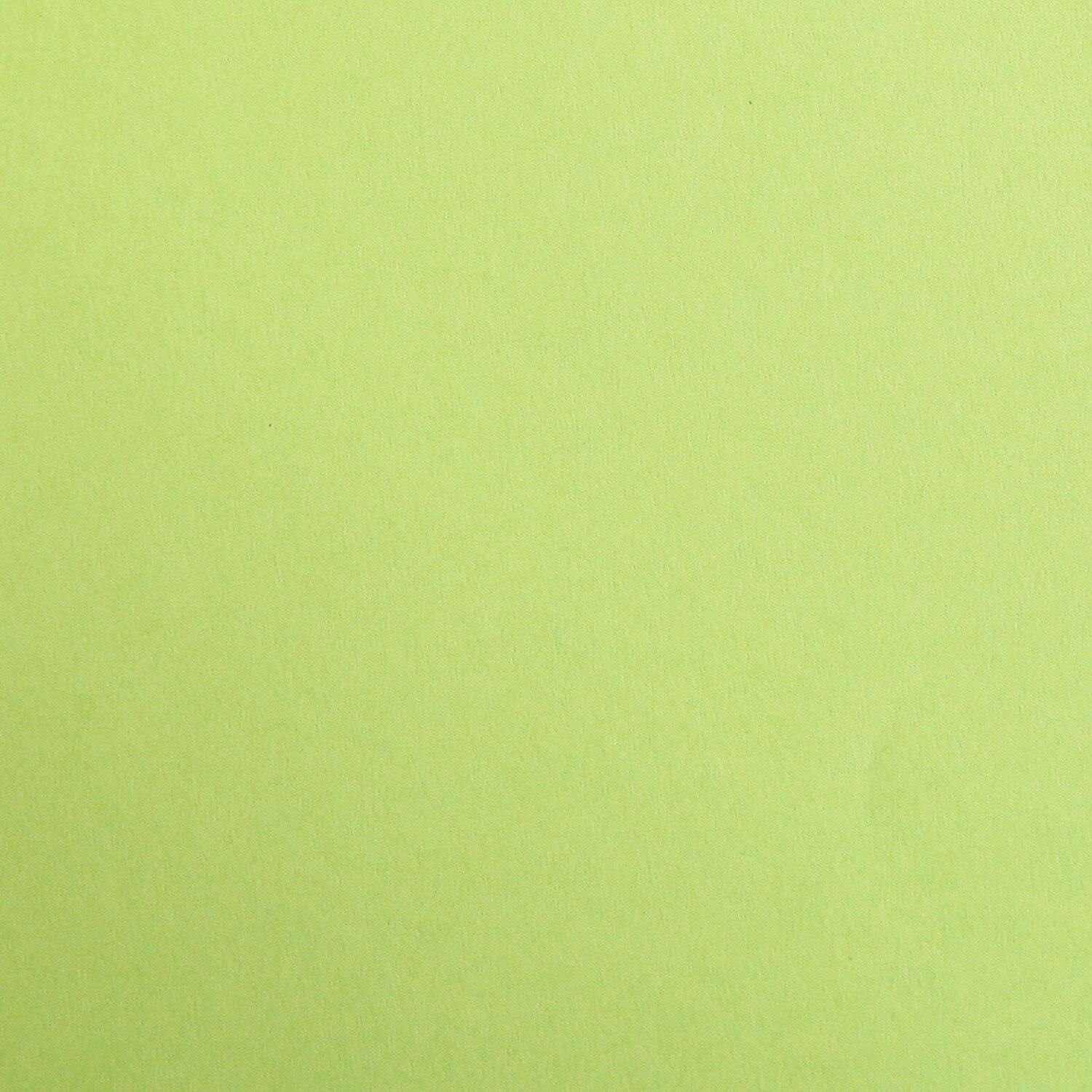 Clairefontaine Fotokarton 50x70cm Moosgrün von Clairefontaine