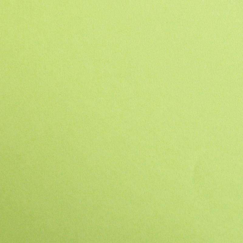 Clairefontaine Fotokarton 50x70cm Moosgrün von Clairefontaine