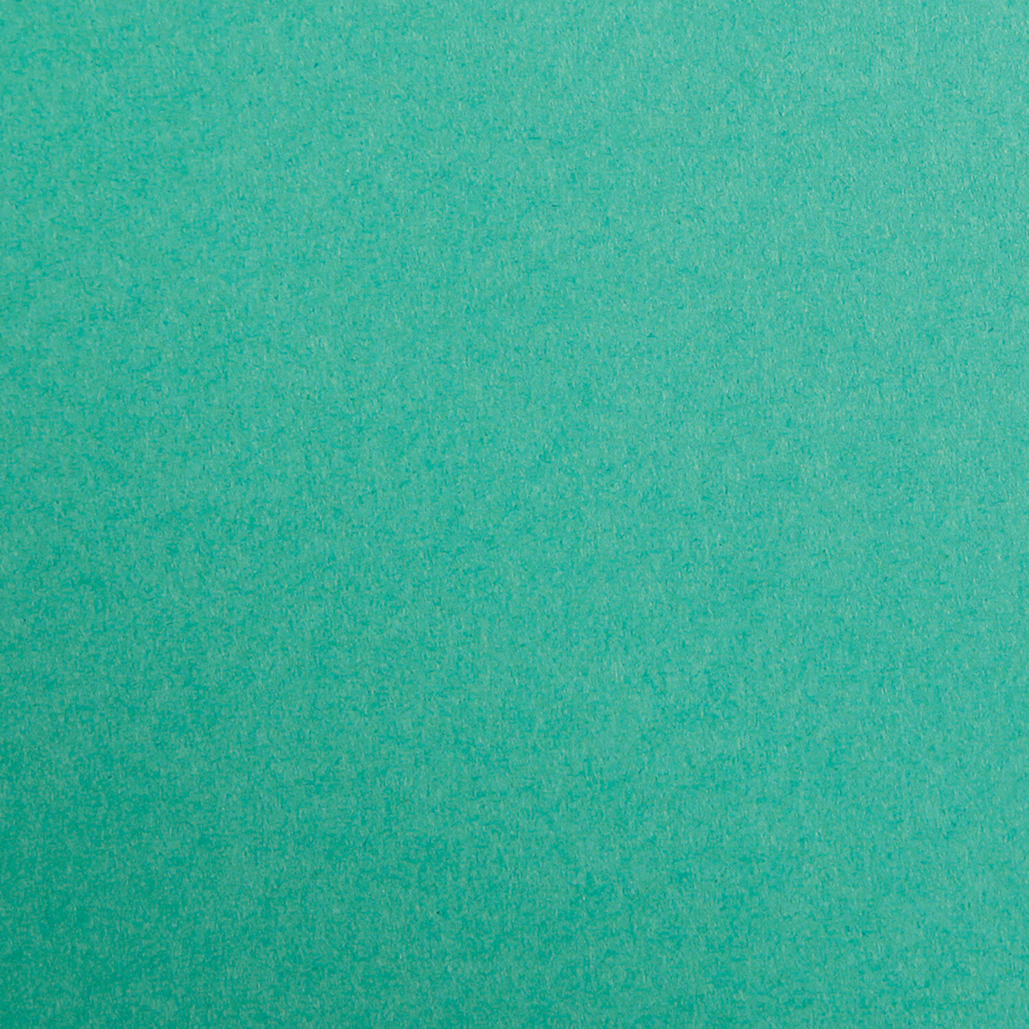 Clairefontaine Fotokarton 50x70cm Tannengrün von Clairefontaine