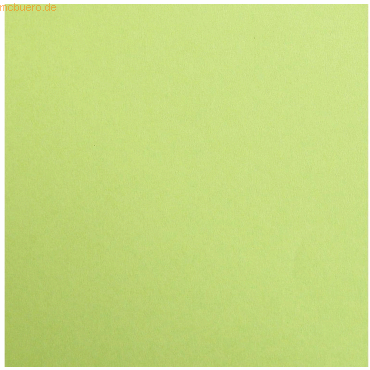 2 x Clairefontaine Fotokarton A4 300g/qm VE=25 Blatt minze 2 x Clairefontaine Fotokarton A4 300g/qm VE=25 Blatt minze von Clairefontaine