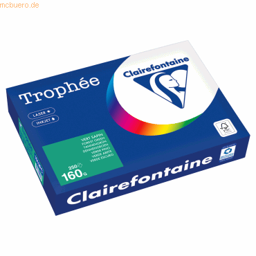 4 x Clairefontaine Kopierpapier 1019PC A4 160g tannengrün 250 Blatt von Clairefontaine