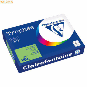 Clairefontaine Kopierpapier 1025PC A4 160g maigrün 250 Blatt von Clairefontaine