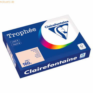 Clairefontaine Kopierpapier 1104PC A4 160g lachs 250 Blatt von Clairefontaine