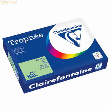 Clairefontaine Kopierpapier 1107PC A4 160g grün 250 Blatt Clairefontaine Kopierpapier 1107PC A4 160g grün 250 Blatt von Clairefontaine