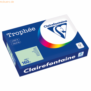 Clairefontaine Kopierpapier 2635PC A4 160g hellgrün 250 Blatt Clairefontaine Kopierpapier 2635PC A4 160g hellgrün 250 Blatt von Clairefontaine