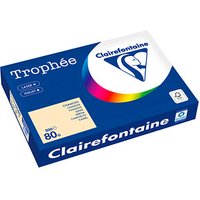 Clairefontaine Kopierpapier Trophée chamois DIN A3 80 g/qm 500 Blatt Clairefontaine Kopierpapier Trophée chamois DIN A3 80 g/qm 500 Blatt von Clairefontaine
