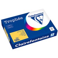 Clairefontaine Kopierpapier Trophée gold gelb DIN A4 120 g/qm 250 Blatt Clairefontaine Kopierpapier Trophée gold gelb DIN A4 120 g/qm 250 Blatt von Clairefontaine