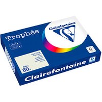 Clairefontaine Kopierpapier Trophée grau DIN A3 80 g/qm 500 Blatt Clairefontaine Kopierpapier Trophée grau DIN A3 80 g/qm 500 Blatt von Clairefontaine