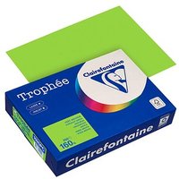 Clairefontaine Kopierpapier Trophée maigrün DIN A4 160 g/qm 250 Blatt von Clairefontaine