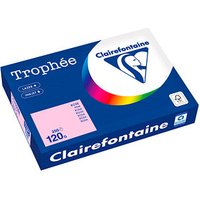 Clairefontaine Kopierpapier Trophée rosa DIN A4 120 g/qm 250 Blatt Clairefontaine Kopierpapier Trophée rosa DIN A4 120 g/qm 250 Blatt von Clairefontaine