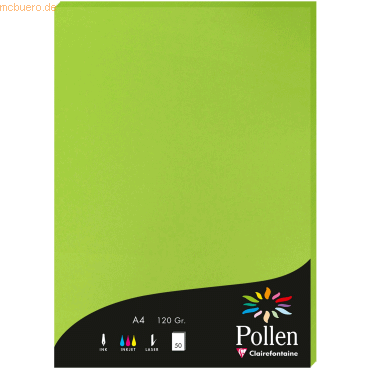 10 x Clairefontaine Papier Pollen A4 120g 50 Blatt minze 10 x Clairefontaine Papier Pollen A4 120g 50 Blatt minze von Clairefontaine
