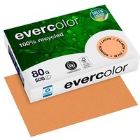 Clairefontaine Recyclingpapier Evercolor lachs DIN A4 80 g/qm 500 Blatt Clairefontaine Recyclingpapier Evercolor lachs DIN A4 80 g/qm 500 Blatt von Clairefontaine