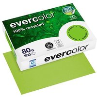 Clairefontaine Recyclingpapier Evercolor lindgrün DIN A4 80 g/qm 500 Blatt von Clairefontaine