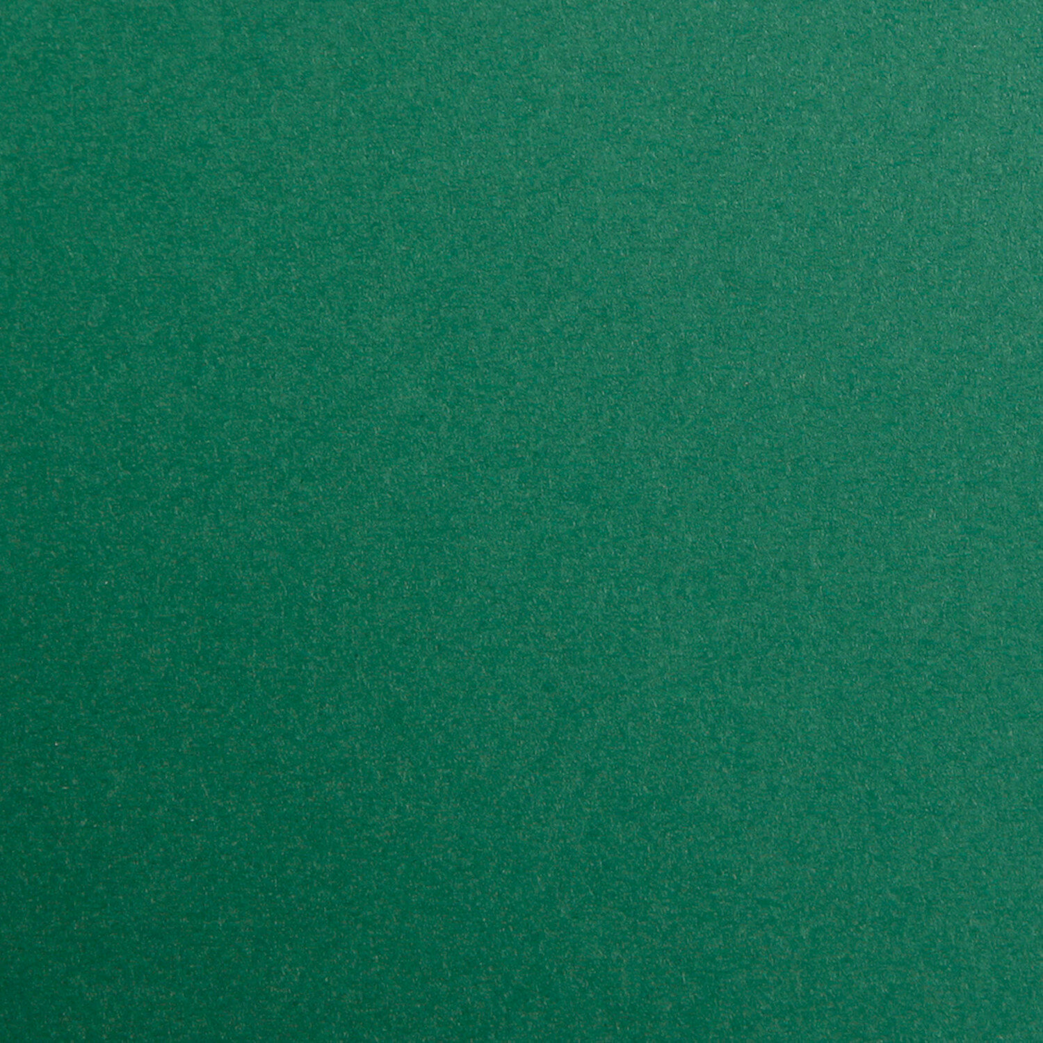 Clairefontaine Tonzeichenpapier 50x70cm Antikgrün von Clairefontaine