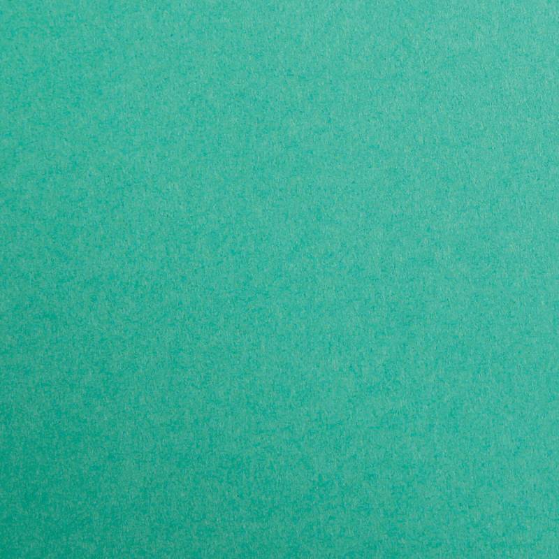 Clairefontaine Tonzeichenpapier 50x70cm Tannengrün von Clairefontaine