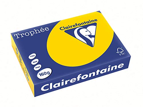 Clairefontaine 1103C - Ries mit 250 Blatt Druckerpapier / Kopierpapier Trophée, DIN A4 (21x29,7 cm), 160g, Goldgelb Pastellfarbe, 1 Ries von Clairefontaine