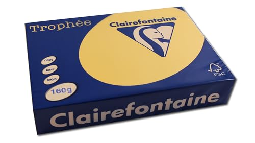 Clairefontaine 1103C - Ries mit 250 Blatt Druckerpapier / Kopierpapier Trophée, DIN A4 (21x29,7 cm), 160g, Goldgelb Pastellfarbe, 1 Ries von Clairefontaine