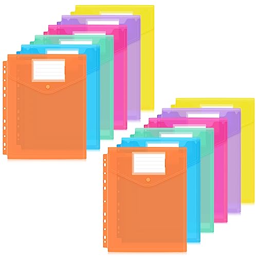 Classycoo Dokumententasche A4,12 Stück Dokumentenmappe A4 Transparent,A4 Sichttasche Dokumenten Sammelmappen Tasche mit 11 Lochrand und Etikettentasche für Organisieren von Dokumenten (3D - 6 Farben) von Classycoo
