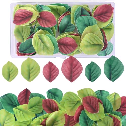 100 Stück Essbare Cupcake Topper,Tortendeko Essbar,Kuchen Dekoration,Dschungel Tortendeko,Vielseitige Dekoration für Kuchen und Torten,Perfekt für Hochzeiten, Geburtstage und Tropische Partys 100 Stück Essbare Cupcake Topper,Tortendeko Essbar,Kuchen Dekoration,Dschungel Tortendeko,Vielseitige Dekoration für Kuchen und Torten,Perfekt für Hochzeiten, Geburtstage und Tropische Partys von Cleminsta
