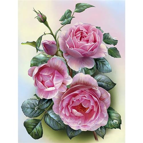 Clldy Diamond Painting erwachsene, DIY Diamond Painting Blumenmuster 5D Diamant Painting Bilder Kinder, Full Round Diamant Kunst Malerei Stickerei Set Kreuzstich Bilder Home Wand Dekor 30x40cm A232 Clldy Diamond Painting erwachsene, DIY Diamond Painting Blumenmuster 5D Diamant Painting Bilder Kinder, Full Round Diamant Kunst Malerei Stickerei Set Kreuzstich Bilder Home Wand Dekor 30x40cm A232 von Clldy