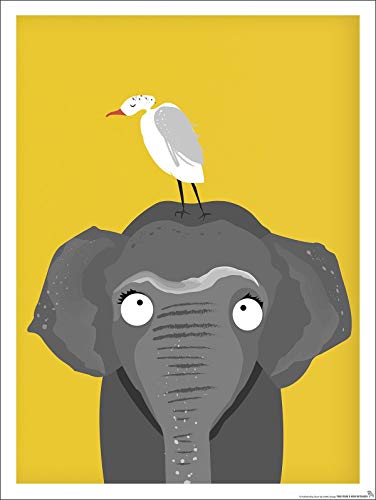 Close Up Kinderzimmer Poster Elefant Afrika (30cm x 40cm) von Close Up