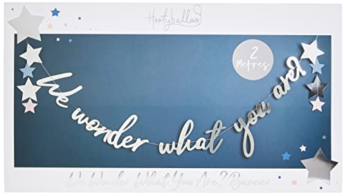 Club Green Wonder What You Are Banner, Silber, 18,7 x 0,3 x 29,5 cm Club Green Wonder What You Are Banner, Silber, 18,7 x 0,3 x 29,5 cm von Club Green