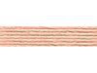 COATS Anchor Baumwolle Schatten Nr. 1012 COATS Anchor Baumwolle Schatten Nr. 1012 von Coats